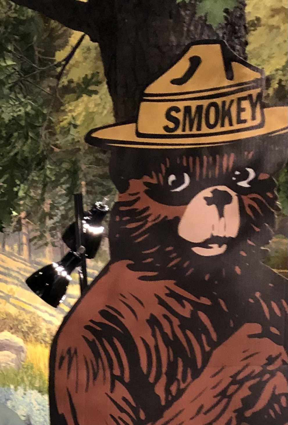 Smokey Bear Trekking Pole